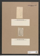 Navicula sp. (de-Toni-Nr.: Genus 1) Zeichnungen Sammlung Grunow Nr. 1540 (NHMW-BOT-W0368240)